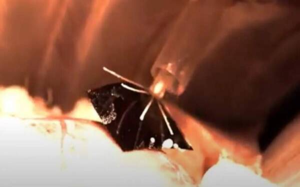 ضربان ساز فوق نازک محققان با استفاده از نور کار می‌کند