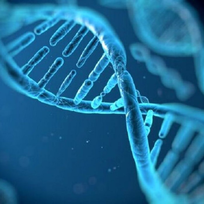 ویروس‌های باستانی و توالی آنها در DNA می‌تواند به اختلالات روان پزشکی منجر شود