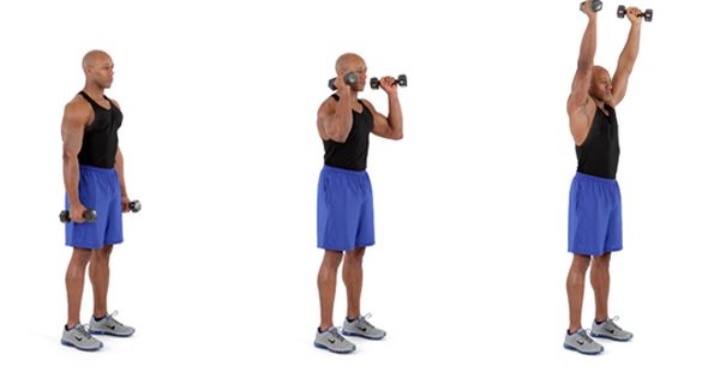 حرکات بدنسازی با دمبل؛ ۲۷ تمرین و انواع حرکات با دمبل_مجله رشد 65 1752024916 225 حرکات بدنسازی با دمبل؛ ۲۷ تمرین و انواع حرکات با