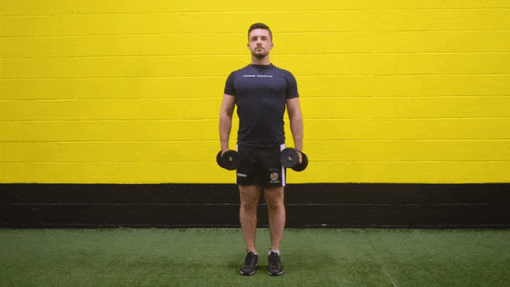 حرکات بدنسازی با دمبل؛ ۲۷ تمرین و انواع حرکات با دمبل_مجله رشد 73 ورزش با دمبل - حرکت بالابردن جانبی بازوها