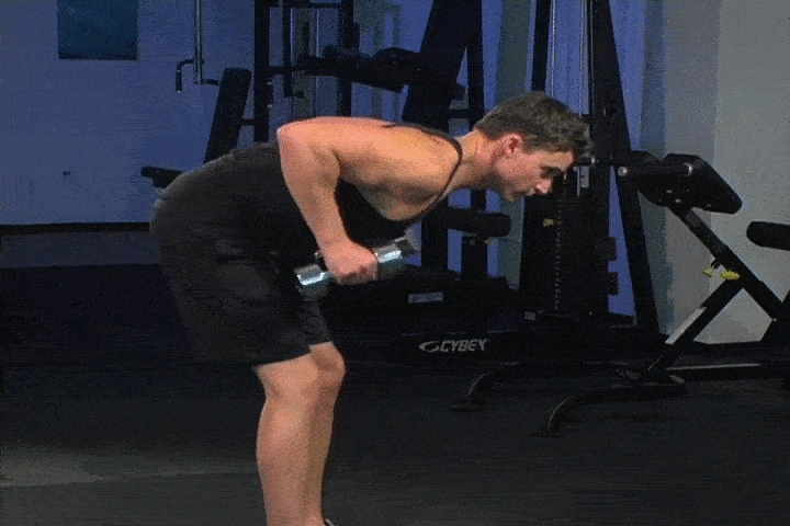 حرکات بدنسازی با دمبل؛ ۲۷ تمرین و انواع حرکات با دمبل_مجله رشد 72 ورزش با دمبل - کیک بک عضله سه سر بازویی