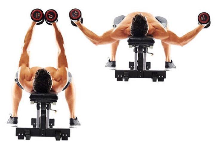 حرکات بدنسازی با دمبل؛ ۲۷ تمرین و انواع حرکات با دمبل_مجله رشد 74 ورزش با دمبل - دمبل فلای خوابیده