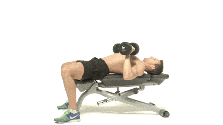 حرکات بدنسازی با دمبل؛ ۲۷ تمرین و انواع حرکات با دمبل_مجله رشد 63 ورزش با دمبل - پرس نیمکت